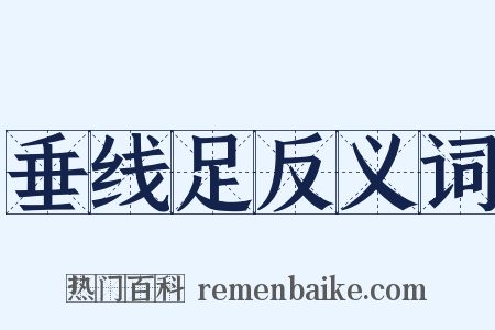 垂线足反义词是什么意思的图片